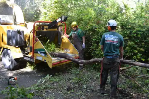 tree services Golf